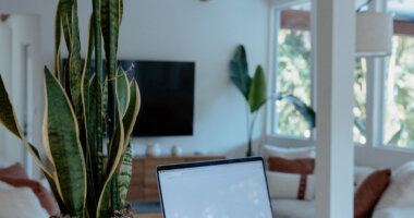 laptop on a counter with a snake plant in a bright, airy home and a notebook on the counter