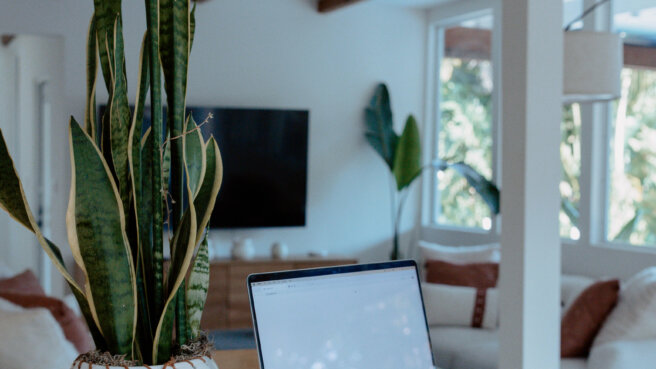 laptop on a counter with a snake plant in a bright, airy home and a notebook on the counter
